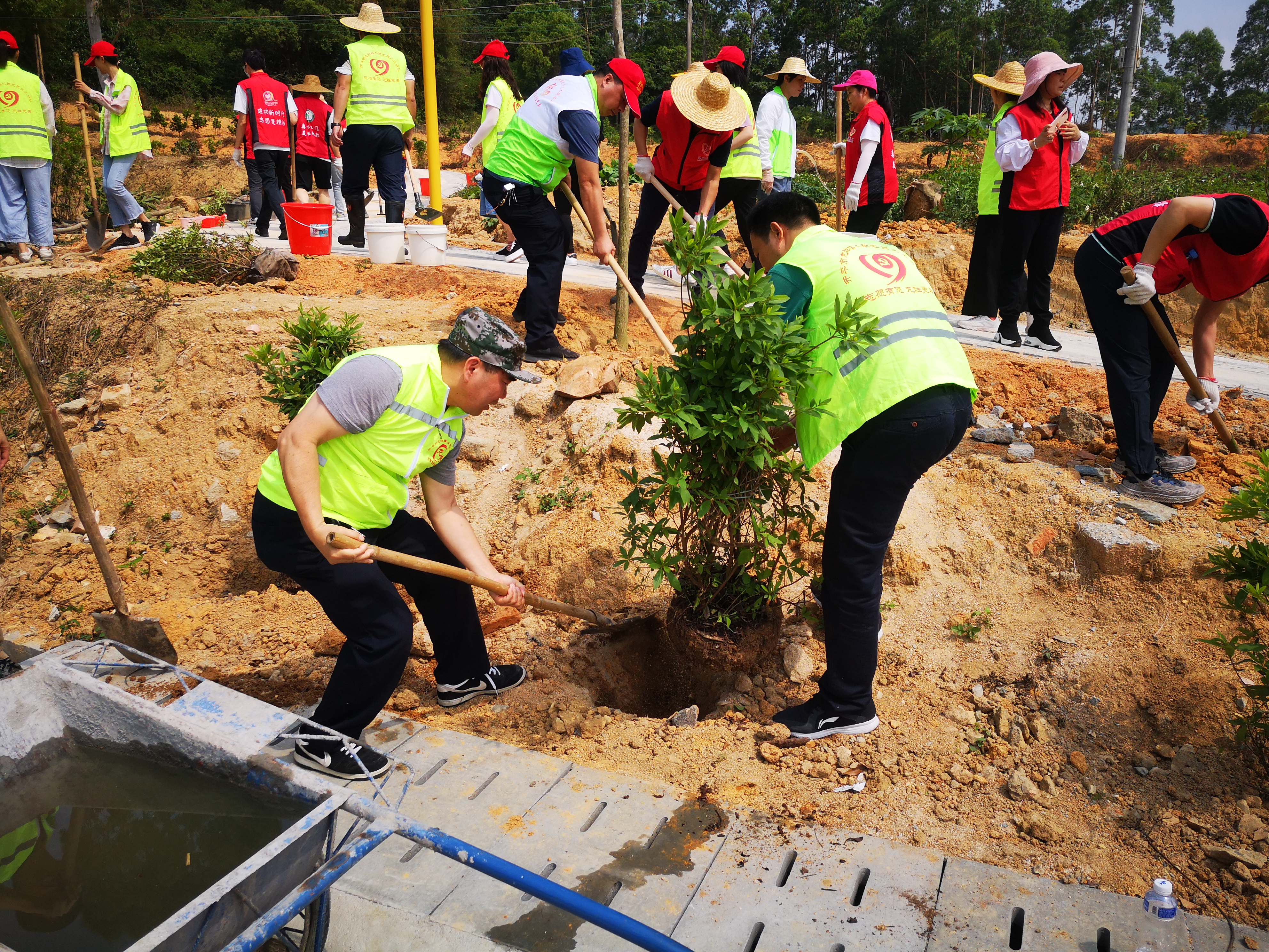 12“我為群眾辦實(shí)事 我為森林小鎮(zhèn)添新綠”植樹活動1.jpg