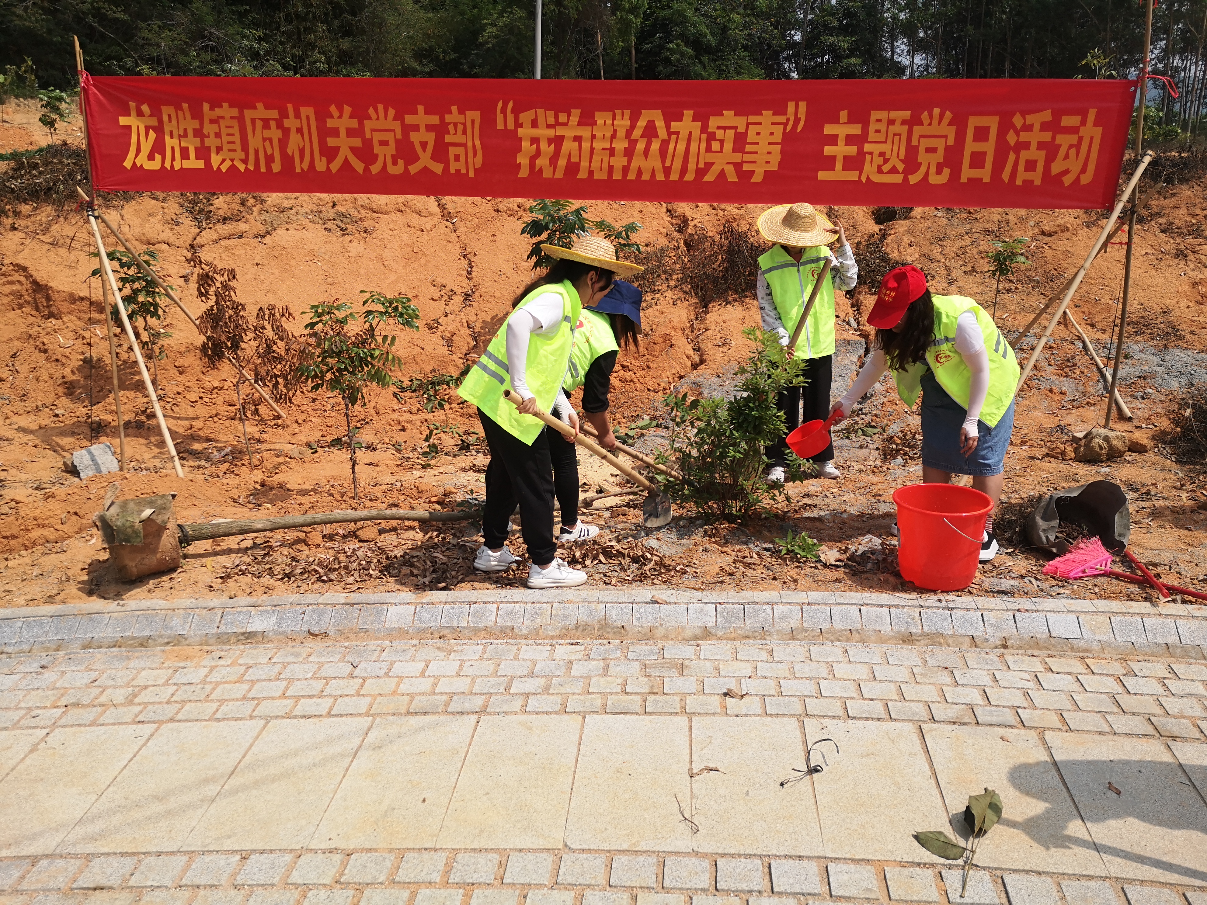 13“我為群眾辦實(shí)事 我為森林小鎮(zhèn)添新綠”植樹活動2.jpg