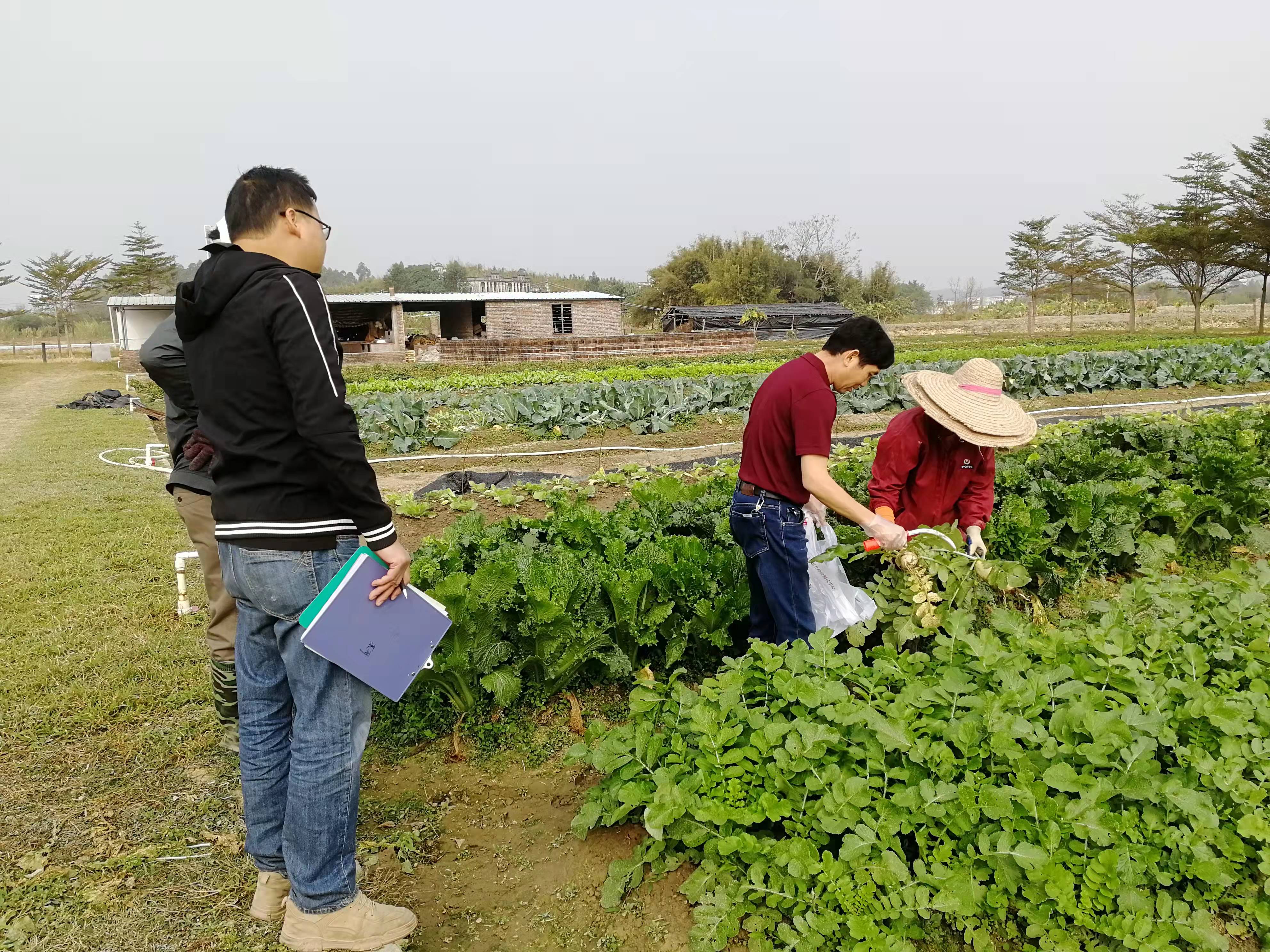 江門農(nóng)檢站到AMO農(nóng)業(yè)園抽樣.jpg