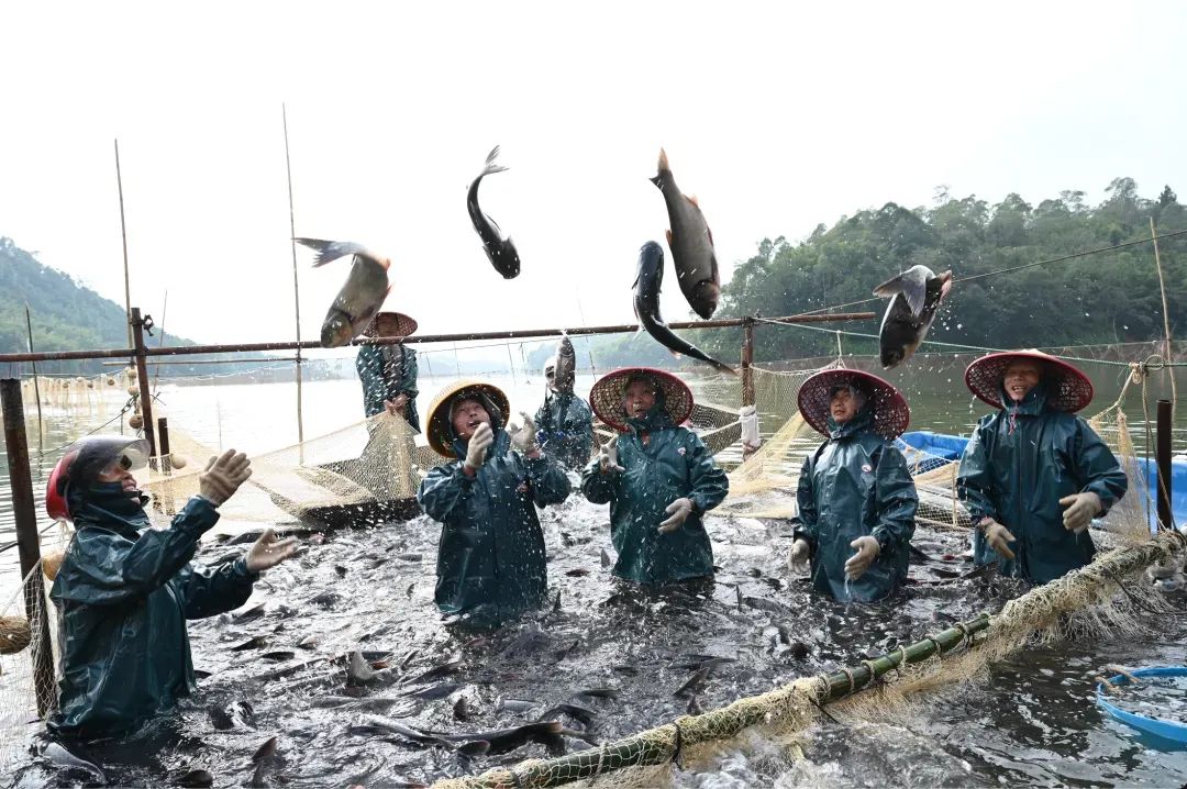 記憶中的水利工程丨大沙河水庫：萬名移民守護起的水利家園