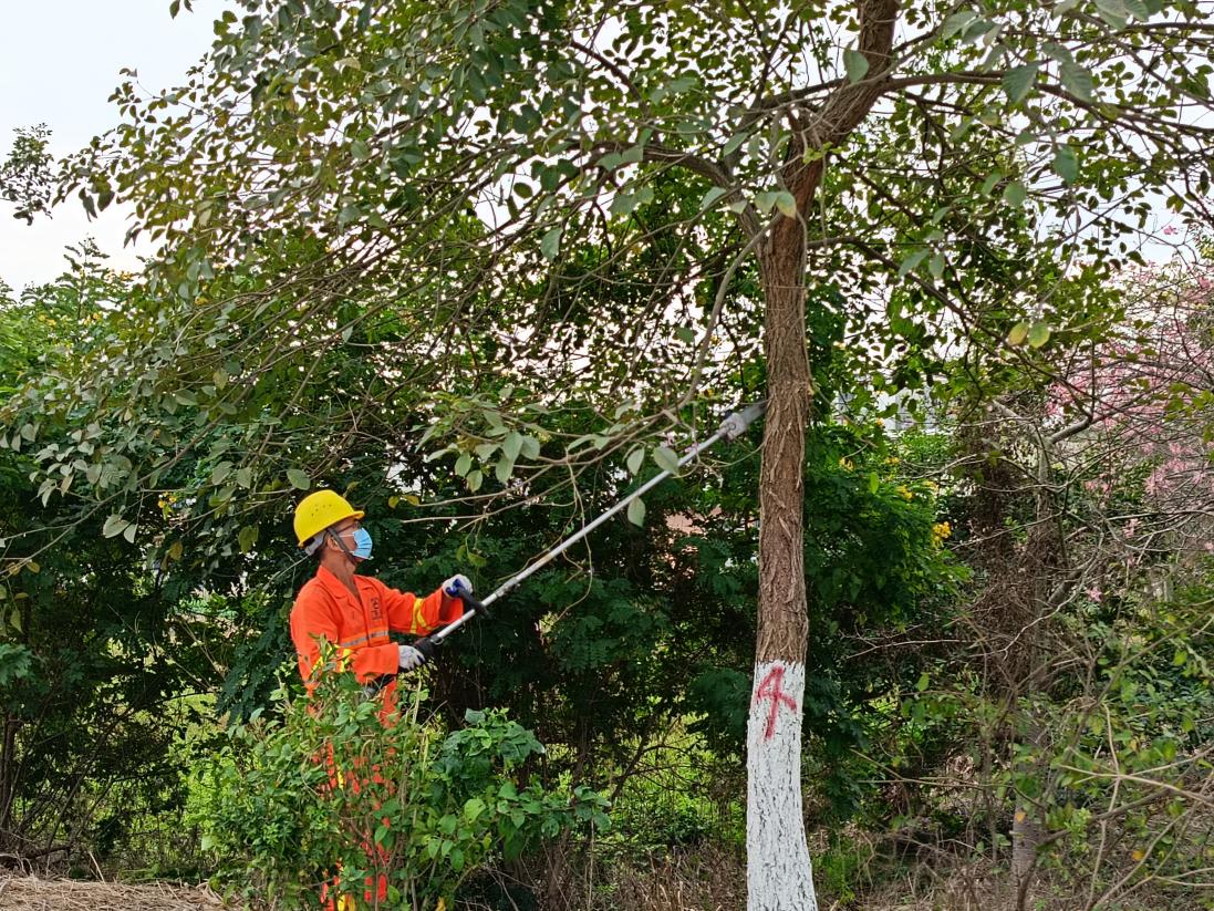 公路信息kp055-精準培訓提技能 以賽促練礪精兵——江門市開平公路事務中心開展2024年綠化養(yǎng)護培訓與養(yǎng)護技能競賽.docx_3